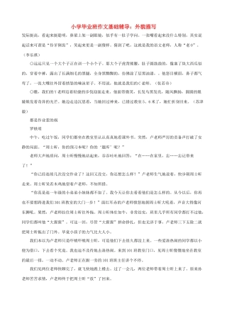 小学语文毕业班作文基础辅导 外貌描写