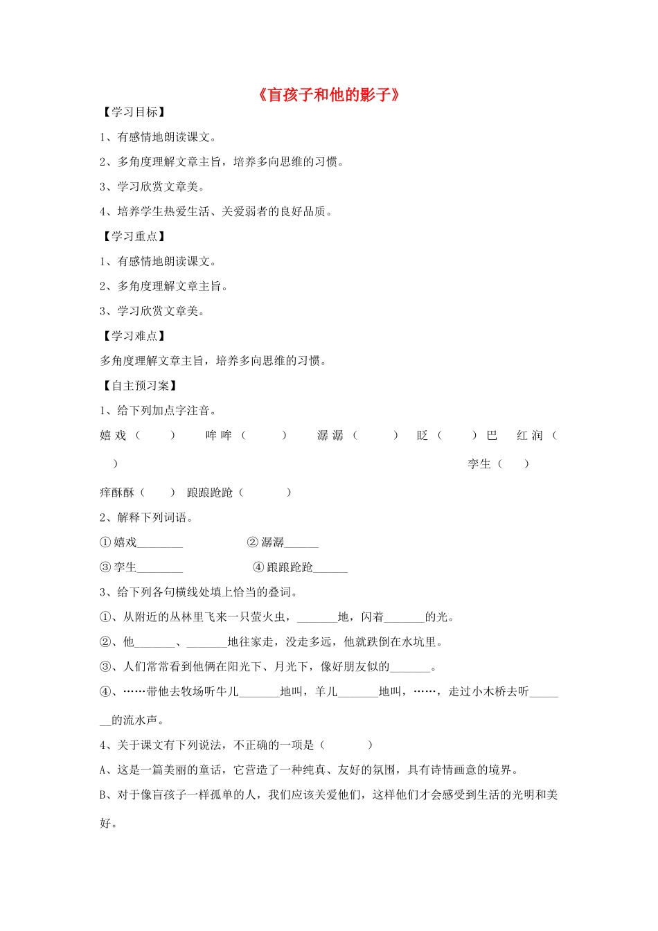 金识源秋六年级语文上册 第五单元 28《盲孩子和他的影子》导学案 鲁教版五四制-鲁教版五四制小学六年级上册语文学案_第1页