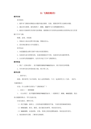 秋四年级科学上册 2.4《飞翔的精灵》教案 湘教版-湘教版小学四年级上册自然科学教案