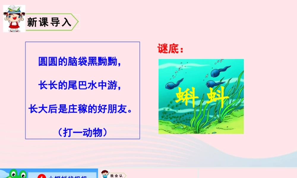 1 小蝌蚪找妈妈课件