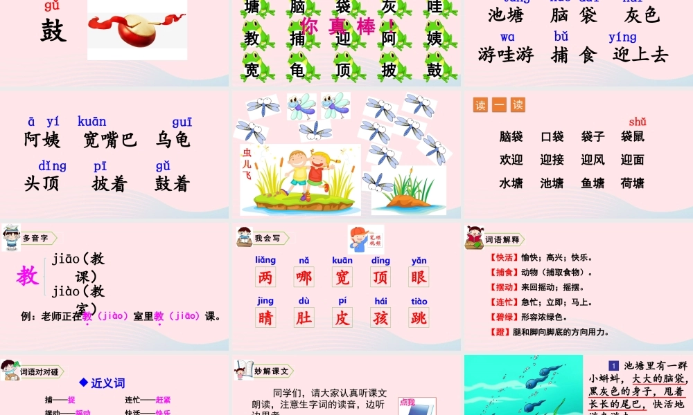 1 小蝌蚪找妈妈课件