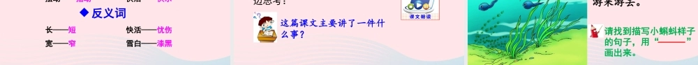 1 小蝌蚪找妈妈课件