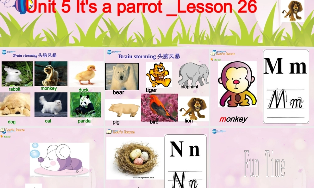 2014春三年级英语下册 Unit 5 It’s a parrot课件1 人教版（精通）