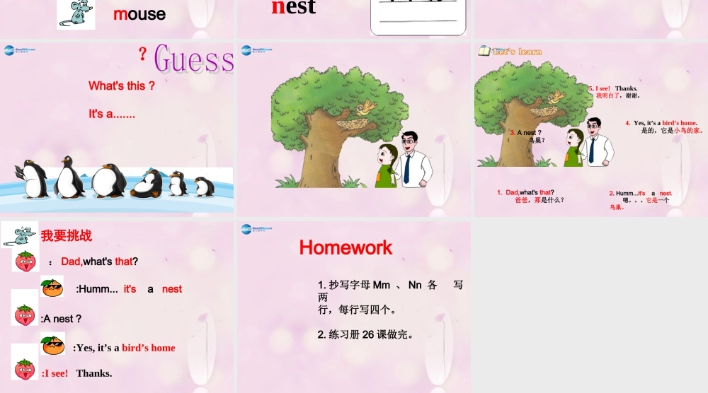 2014春三年级英语下册 Unit 5 It’s a parrot课件1 人教版（精通）