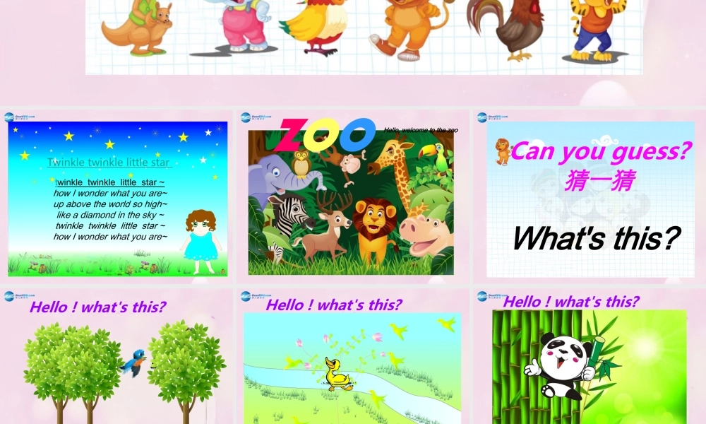 2014春三年级英语下册 Unit 5 It’s a parrot课件2 人教版（精通）