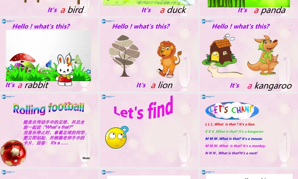 2014春三年级英语下册 Unit 5 It’s a parrot课件2 人教版（精通）