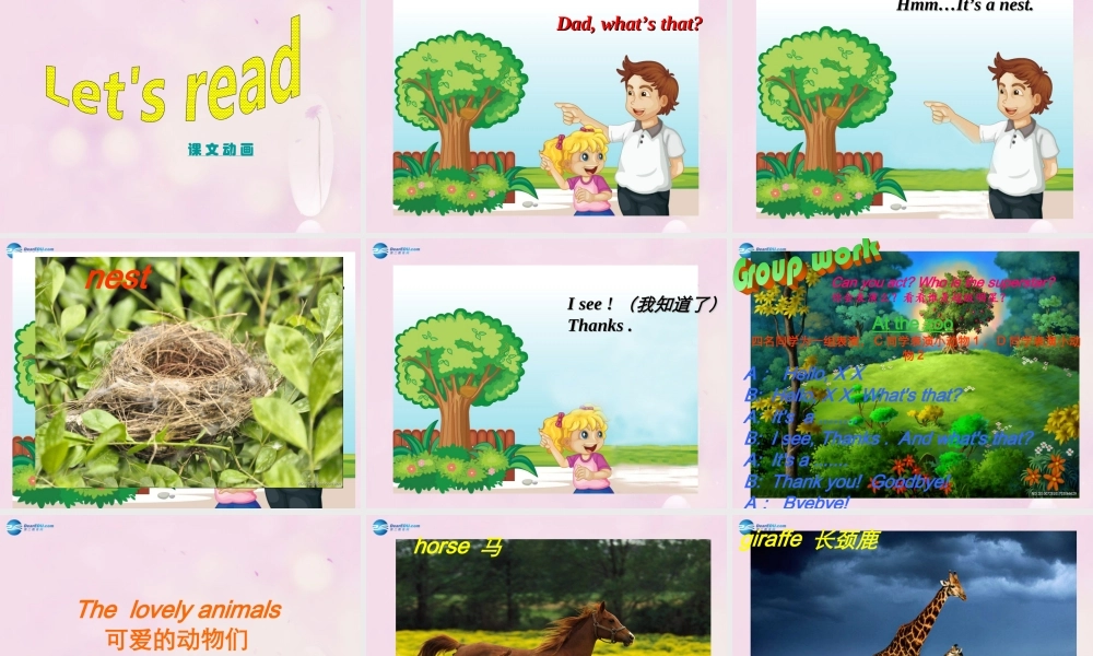 2014春三年级英语下册 Unit 5 It’s a parrot课件2 人教版（精通）