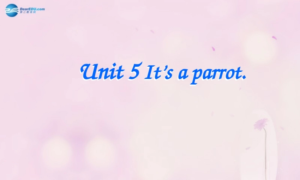2014春三年级英语下册 Unit 5 It’s a parrot课件3 人教版（精通）