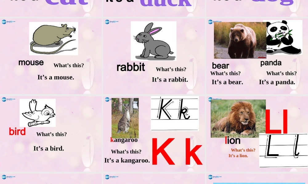 2014春三年级英语下册 Unit 5 It’s a parrot课件3 人教版（精通）