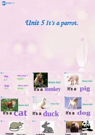 2014春三年级英语下册 Unit 5 It’s a parrot课件3 人教版（精通）