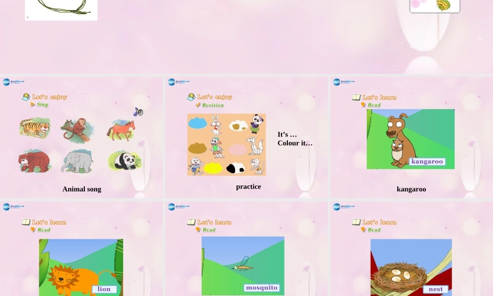 2014春三年级英语下册 Unit 5 It’s a parrot课件4 人教版（精通）