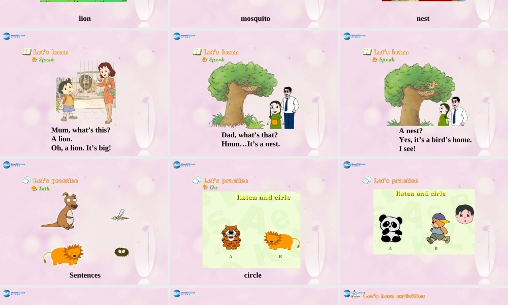 2014春三年级英语下册 Unit 5 It’s a parrot课件4 人教版（精通）