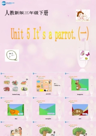 2014春三年级英语下册 Unit 5 It’s a parrot课件4 人教版（精通）
