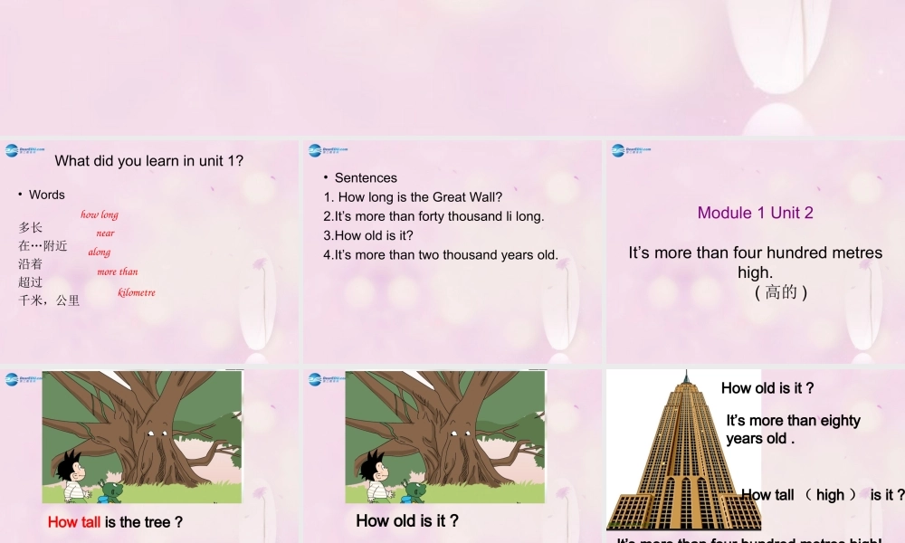 2014秋六年级英语上册 Module 1 Unit 2 It’s more than four hundred metres high课件2 外研版（一起）