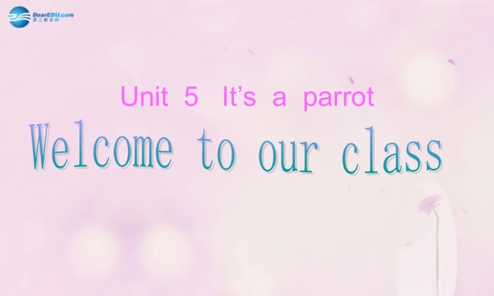 2014春三年级英语下册 Unit 5 It’s a parrot课件5 人教版（精通）