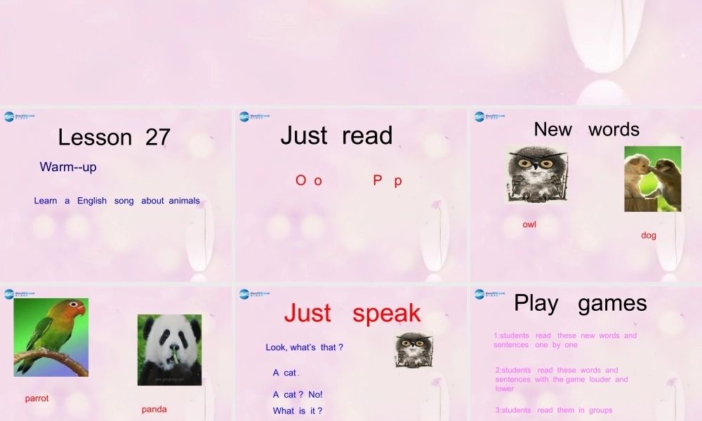 2014春三年级英语下册 Unit 5 It’s a parrot课件5 人教版（精通）