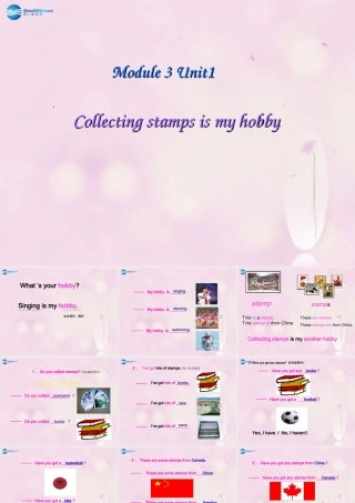 2014秋六年级英语上册 Module 3 Unit 2 Collecting stamps is my hobby课件2 外研版（一起）