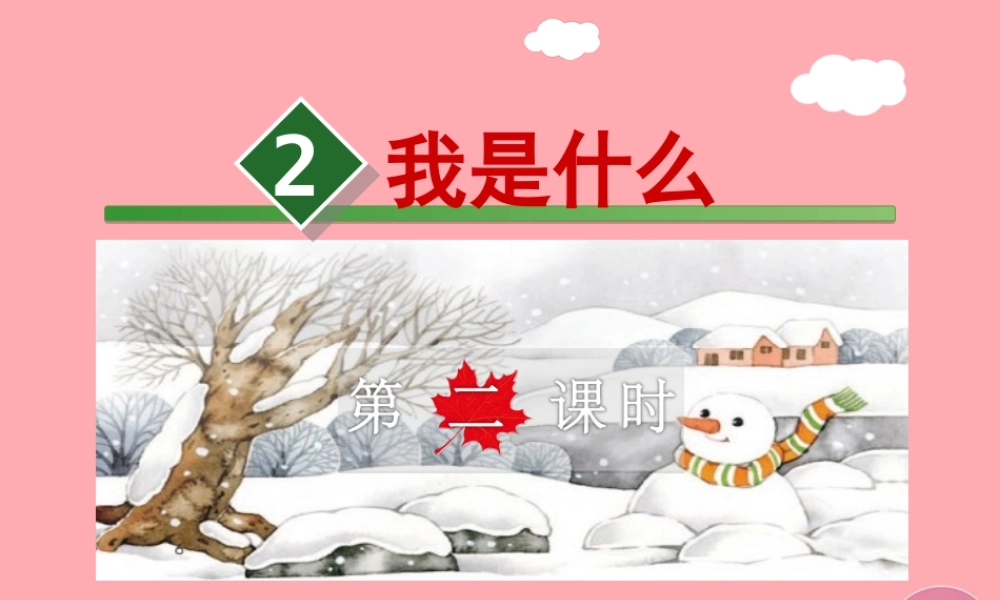 2.我是什么【第2课时】