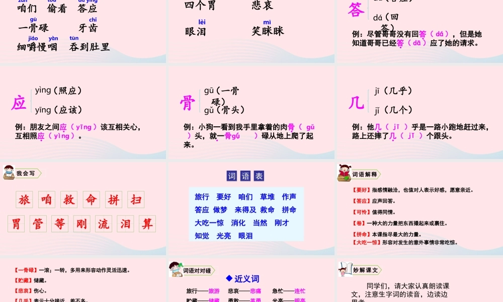 10 在牛肚子里旅行课件