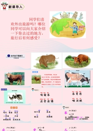 10 在牛肚子里旅行课件