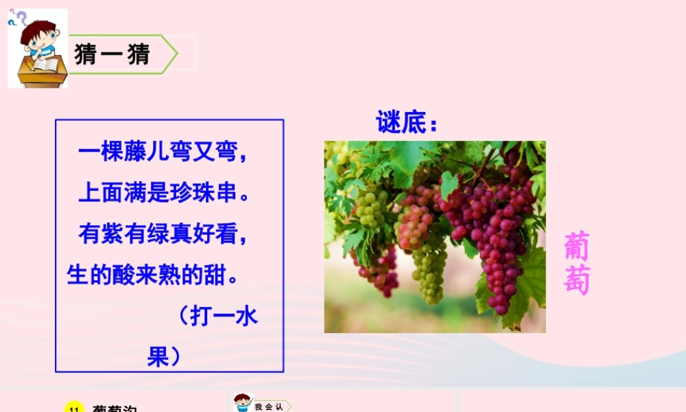 11 葡萄沟课件