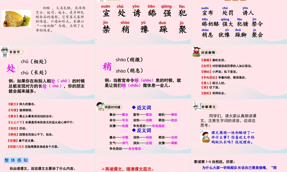 11 一块奶酪课件