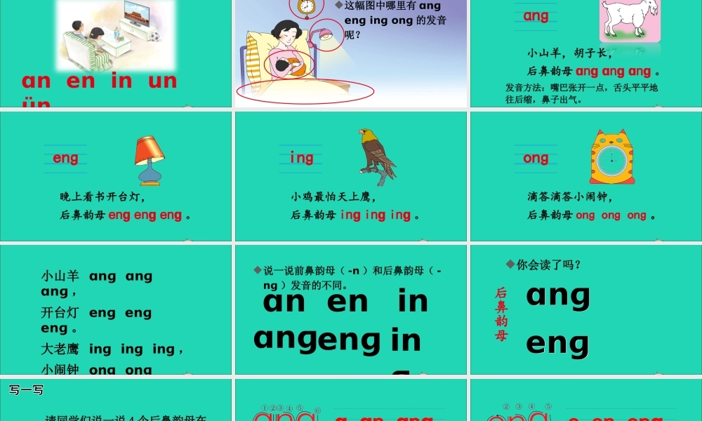 13 ɑng eng ing ong课件