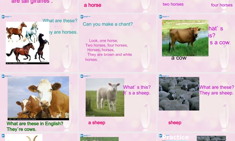 2014春四年级英语下册 Unit 6 Would you like to take a trip课件2 人教版（精通）