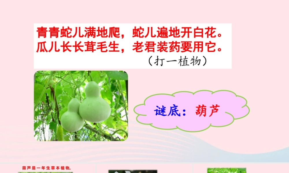 14 我要的是葫芦课件