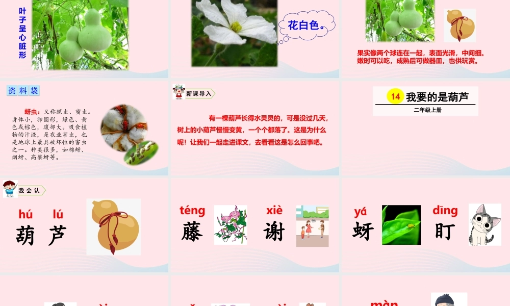 14 我要的是葫芦课件