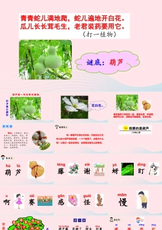 14 我要的是葫芦课件