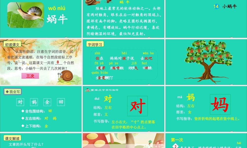14 小蜗牛课件