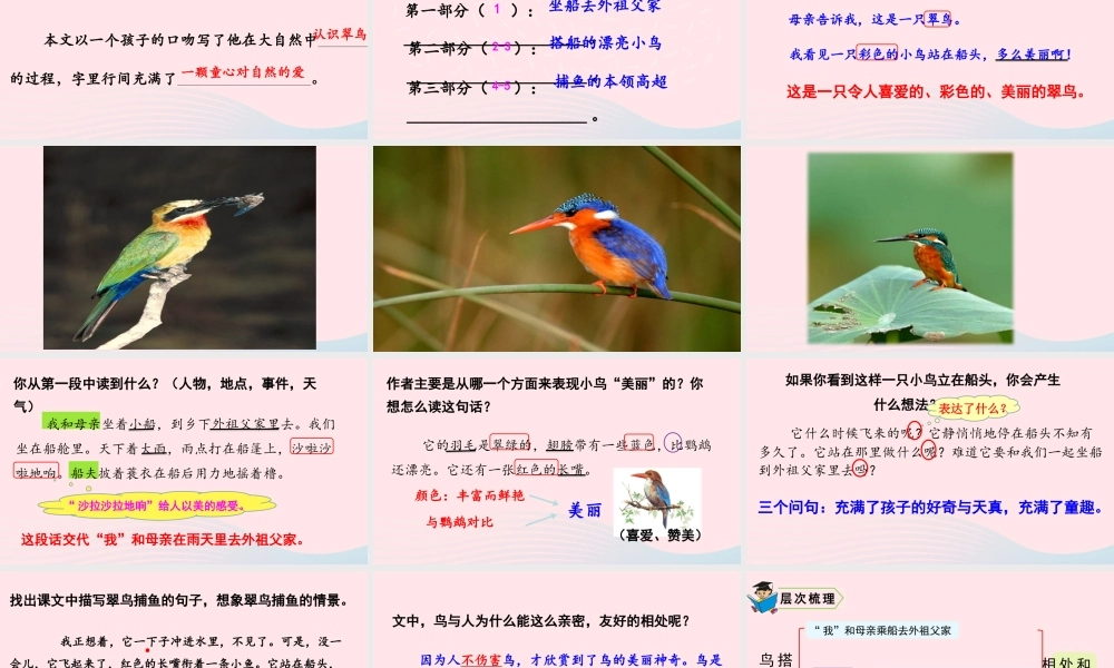 15 搭船的鸟课件