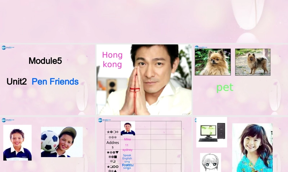 2014秋六年级英语上册 Module 5 Unit 2 I want a Chinese pen friend课件2 外研版（一起）