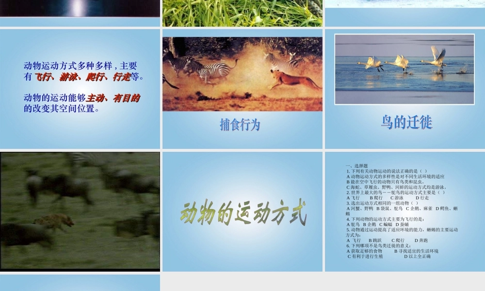 16.1 动物运动方式的多样性