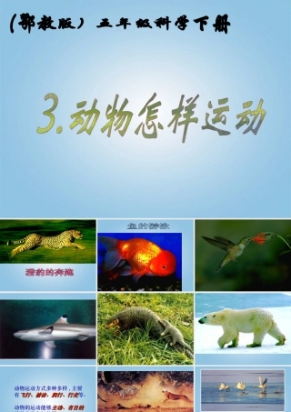 16.1 动物运动方式的多样性