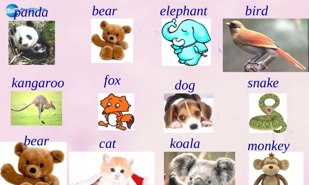 2014秋六年级英语上册 Module 7 Unit 1 Pandas love bamboo课件1 外研版（一起）