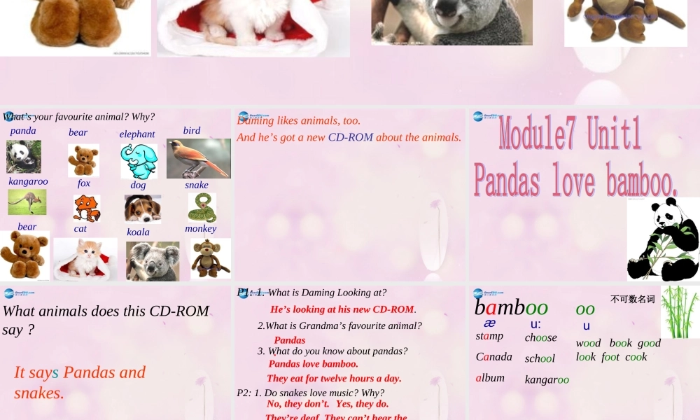 2014秋六年级英语上册 Module 7 Unit 1 Pandas love bamboo课件1 外研版（一起）