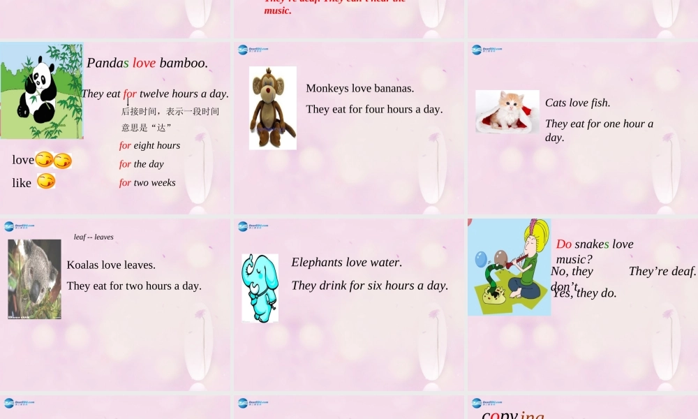 2014秋六年级英语上册 Module 7 Unit 1 Pandas love bamboo课件1 外研版（一起）