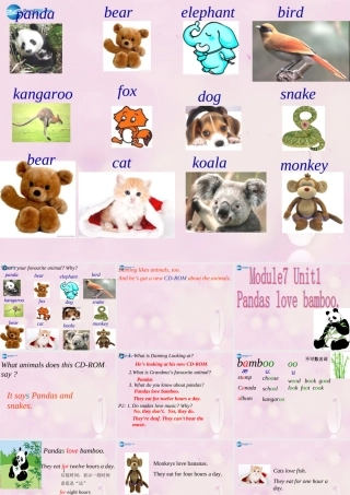 2014秋六年级英语上册 Module 7 Unit 1 Pandas love bamboo课件1 外研版（一起）