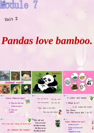2014秋六年级英语上册 Module 7 Unit 1 Pandas love bamboo课件2 外研版（一起）