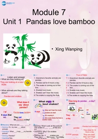 2014秋六年级英语上册 Module 7 Unit 1 Pandas love bamboo课件3 外研版（一起）