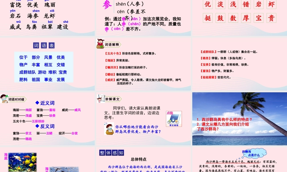 18 富饶的西沙群岛课件