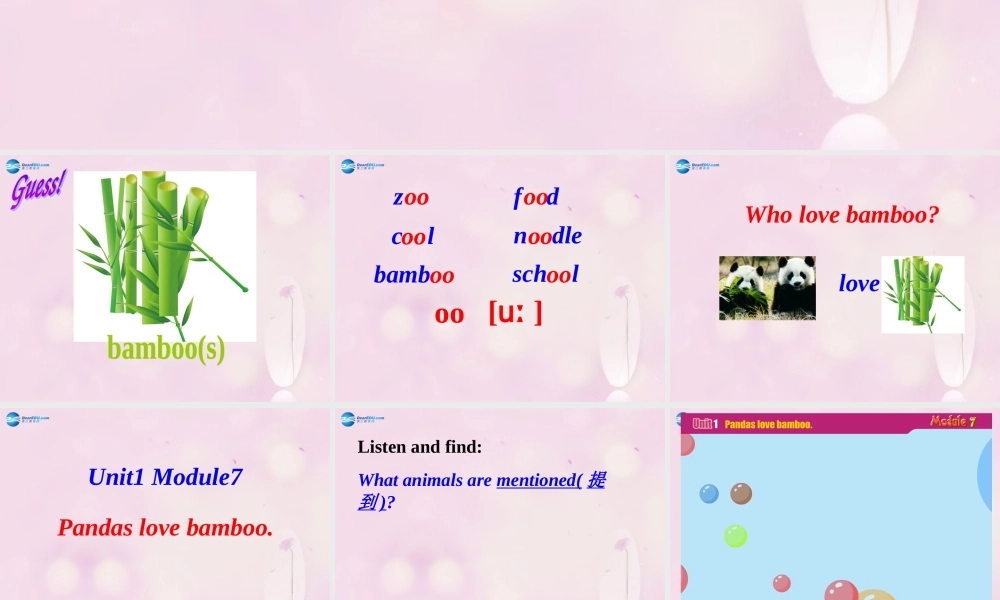 2014秋六年级英语上册 Module 7 Unit 1 Pandas love bamboo课件4 外研版（一起）