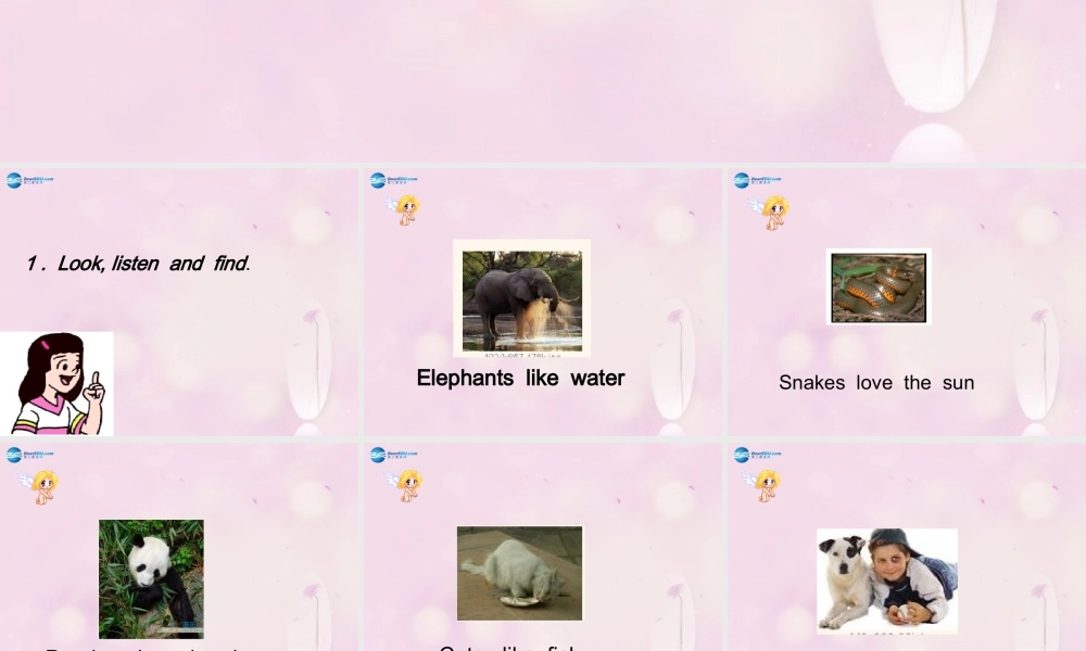 2014秋六年级英语上册 Module 7 Unit 1 Pandas love bamboo课件5 外研版（一起）