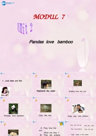 2014秋六年级英语上册 Module 7 Unit 1 Pandas love bamboo课件5 外研版（一起）