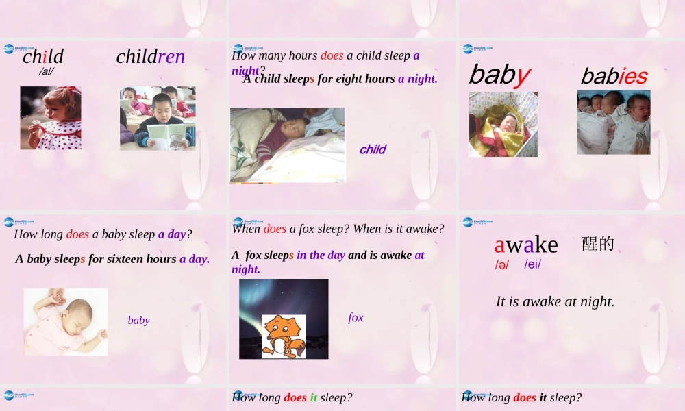 2014秋六年级英语上册 Module 7 Unit 2 A child sleeps for eight hours a night课件1 外研版（一起）