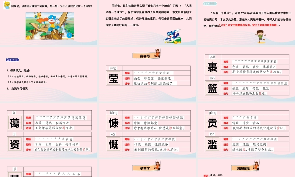 18 只有一个地球课件