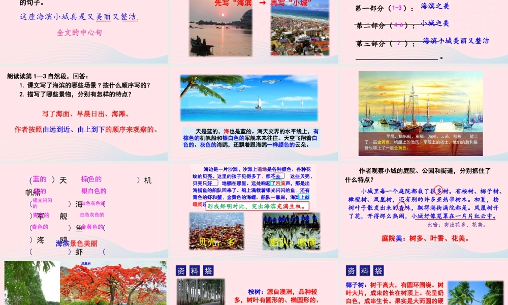 19 海滨小城课件