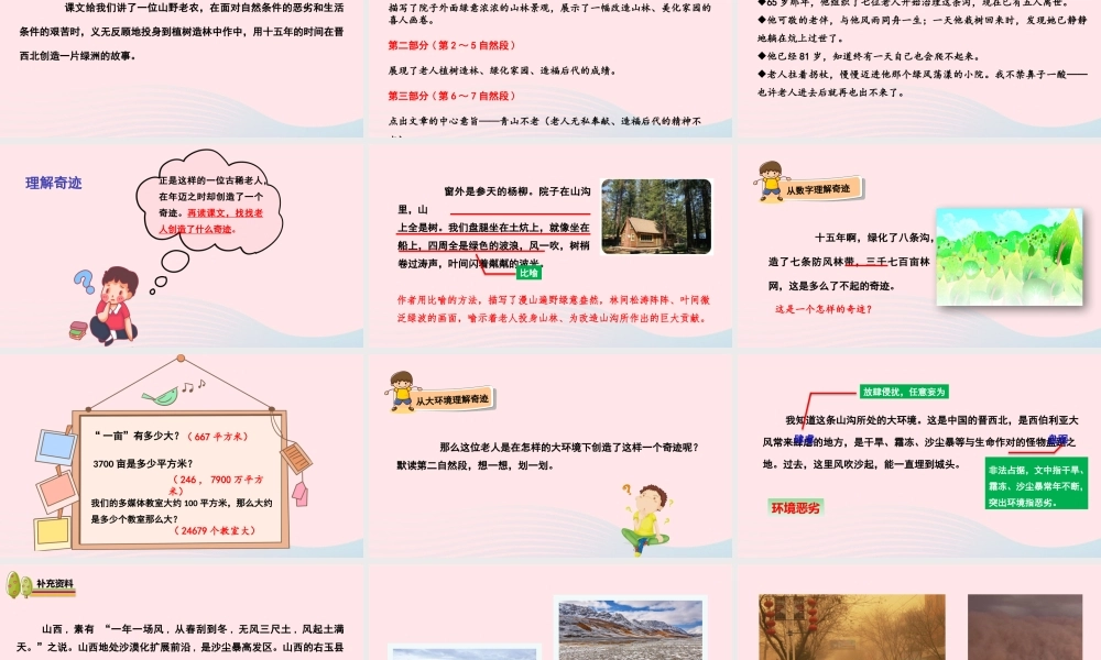 19 青山不老课件